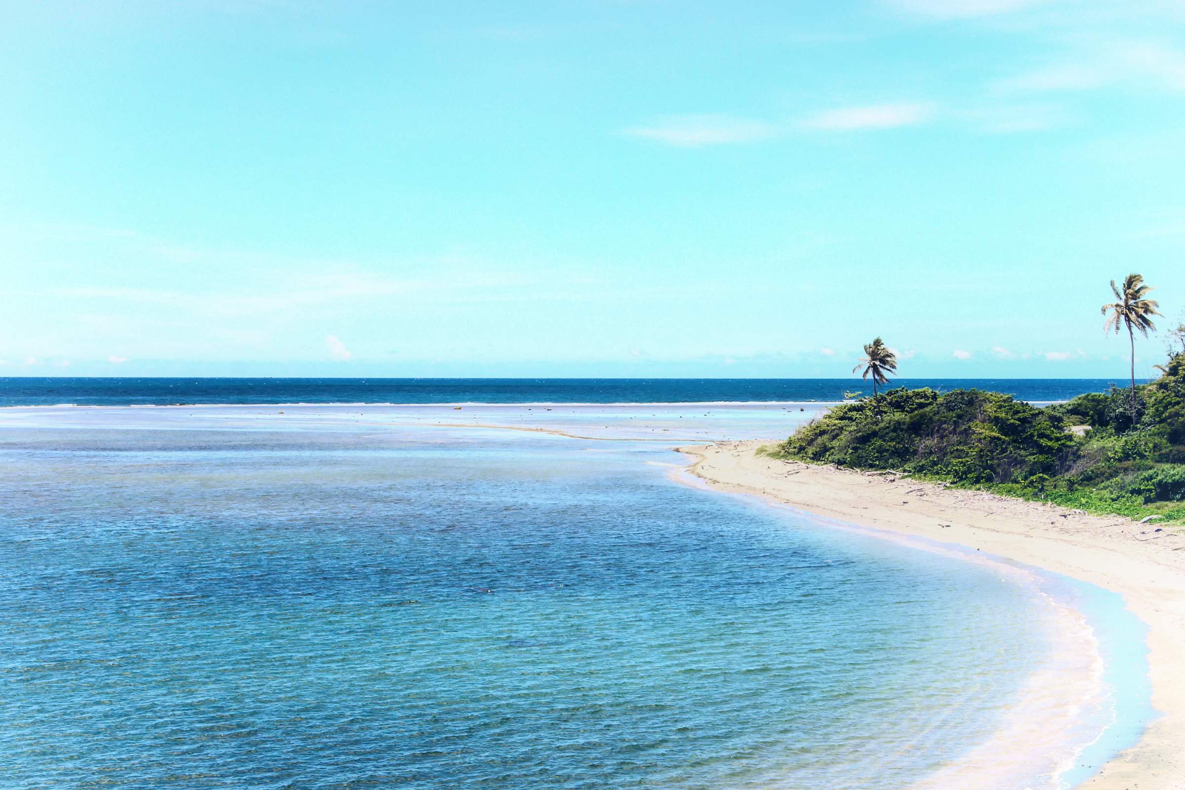 187 taveuni island.webp